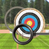 Archery icon oog